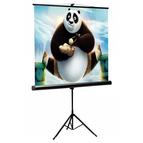 Ekran Projekcyjny 200x200 cm 112 Cali Sbox Psmt-112 Statyw